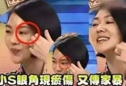 成源家暴爆料视频最新,真相揭露，受害者勇敢发声