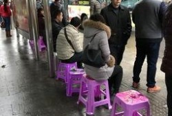 重庆婆婆最新爆料,家庭琐事中的温馨与智慧