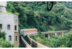 魔都小区爆料视频最新版,惊人真相曝光！