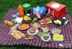 野餐兔网红吃瓜图片高清,高清美图曝光！