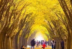 邳州热点爆料最新消息